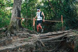 BIB: 
                            <button type="button" onclick="openModal(27752083)" class="btn btn-primary btn-sm float-right btn-popup" data-toggle="modal" data-target=".modal-high-quality">
                        <i class="fas fa-shopping-cart"></i> Add to Cart
                    </button>
                                            <button type="button" onclick="isThisMe(27752083, true)" class="btn btn-success btn-sm float-right btn-popup btn-isme hidden" data-toggle="tooltip" data-placement="bottom" title="นี่คือรูปของคุณใช่ไหม คลิกที่นี่เพื่อเอาเข้าอัลบั้ม">
                        <i class="fas fa-plus"></i> Add to album
                    </button>
                    <button type="button" onclick="isThisMe(27752083, false)" class="btn btn-warning btn-sm float-right btn-popup btn-isnotme hidden">
                        <i class="fas fa-ban"></i> Remove from album
                    </button>